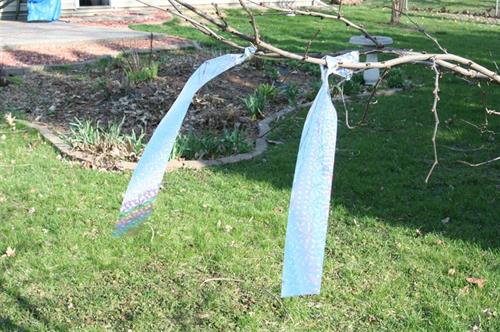 Repeller Ribbon tied on tree limb