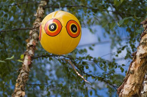 Scare Eye deterrent installed in tree