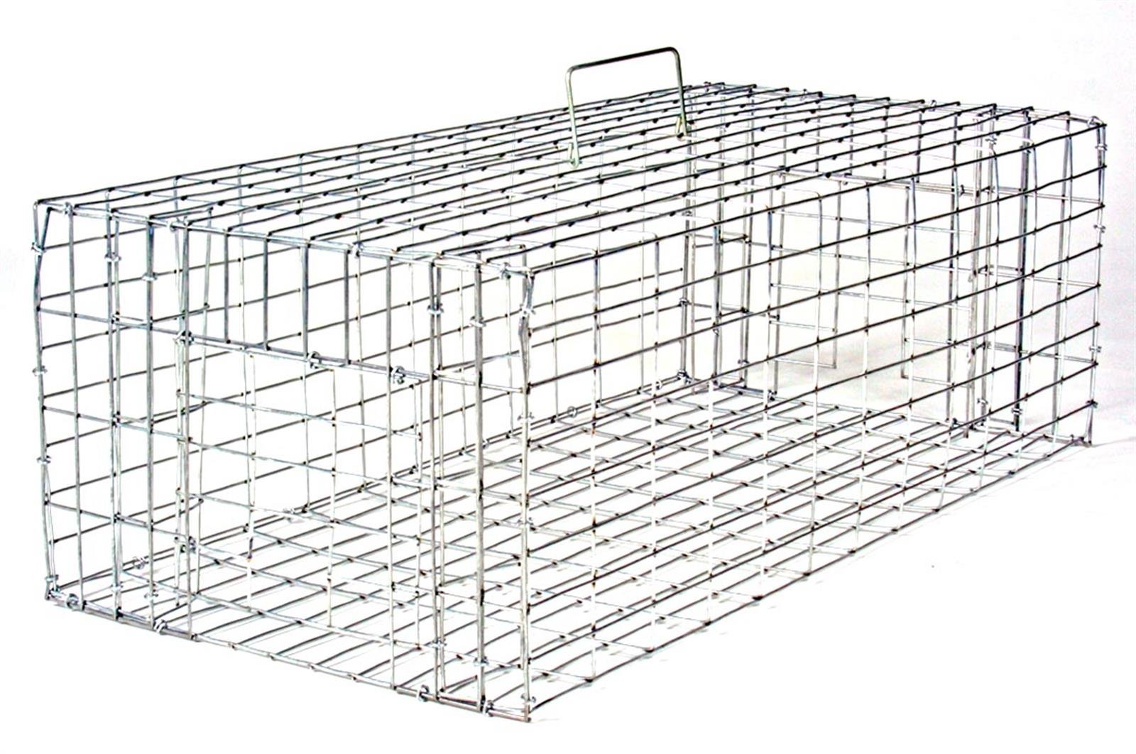 Small Pigeon Trap 24x12x8 Nixalite