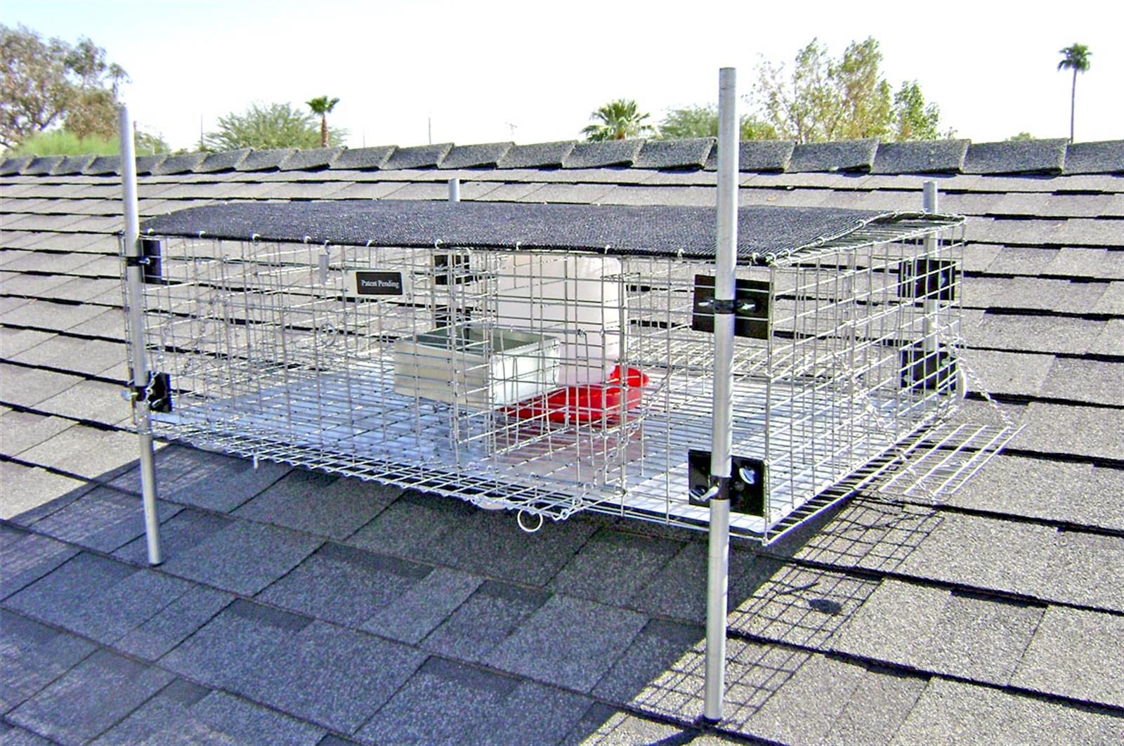 Rooftop Pigeon Trap 36x24x10