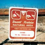Desert Tortoise Protection Mojave, CA