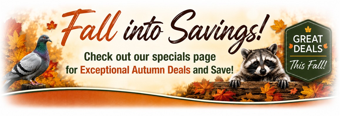 Nixalite Anniversary Sale Banner