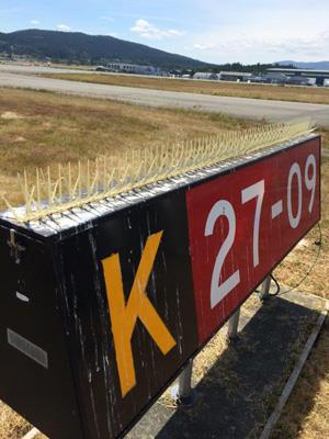 Runway sign with plastic spikes installed 2