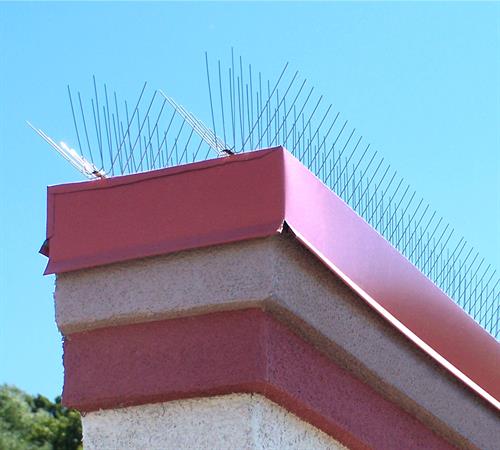 E Spike Economy Pigeon Spikes Stainless Steel Bird Spikes Nixalite