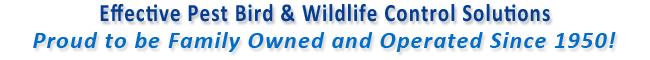 Effective Pest Bird & Wildlife Control Solutions Proud to be Family Owned and Operated Since 1950!