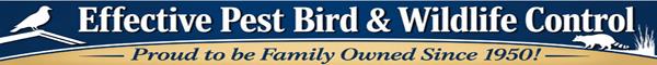 Effective Pest Bird & Wildlife Control Solutions Proud to be Family Owned and Operated Since 1950!
