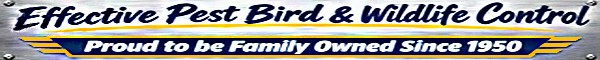 Effective Pest Bird & Wildlife Control Solutions Proud to be Family Owned and Operated Since 1950!