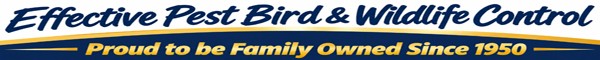 Effective Pest Bird & Wildlife Control Solutions Proud to be Family Owned and Operated Since 1950!