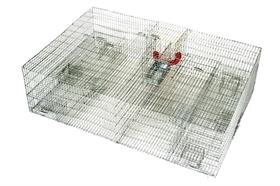 Bird Traps - Humane Live Capture Bird Traps