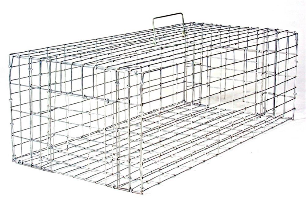 Small Pigeon Trap 24x12x8