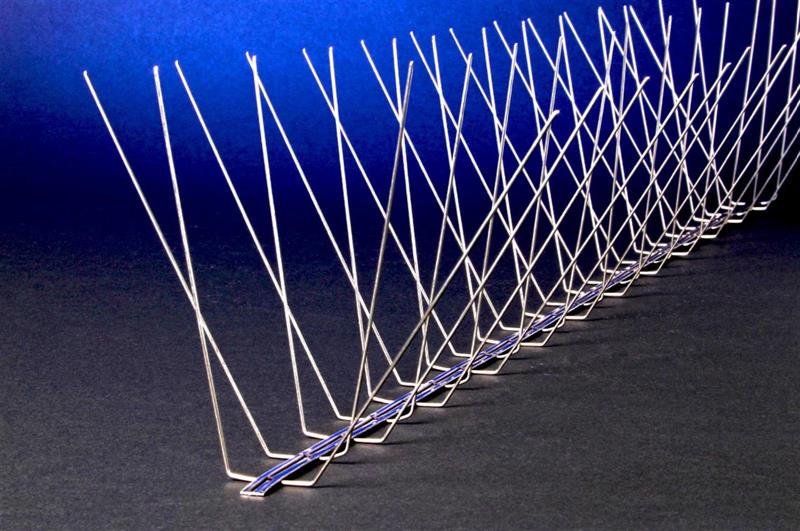 READ WOMEN'S HEALTH AND NUTRITION: