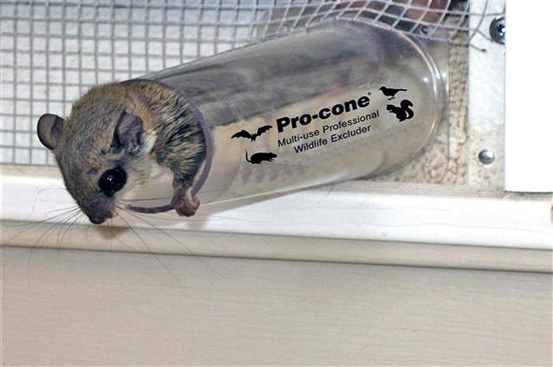 Batcone Wildlife Excluders Nixalite