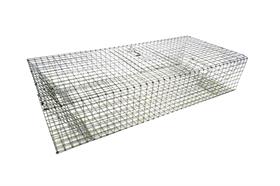 HD Folding Pigeon Trap 36x16x8