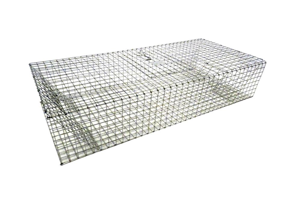 Large Pigeon Trap for Slanted Surfaces 36 x 24 x 10