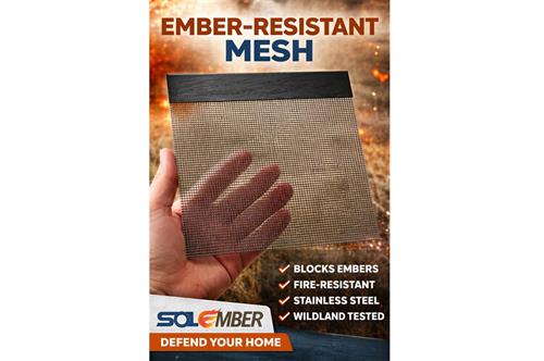 Solember image of the mesh