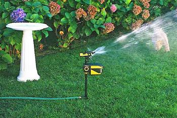 motion activated sprinkler scarecrow